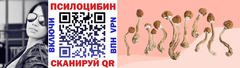 купить наркотик  Великий Устюг  Псилоцибиновые грибы ЛСД 