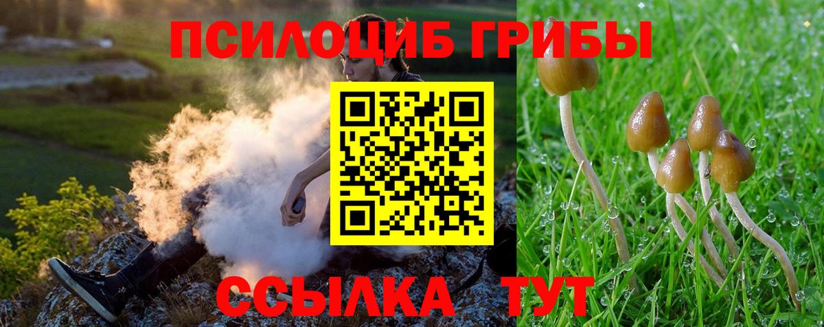 Галлюциногенные грибы Psilocybe  Вход с VPN  Великий Устюг 